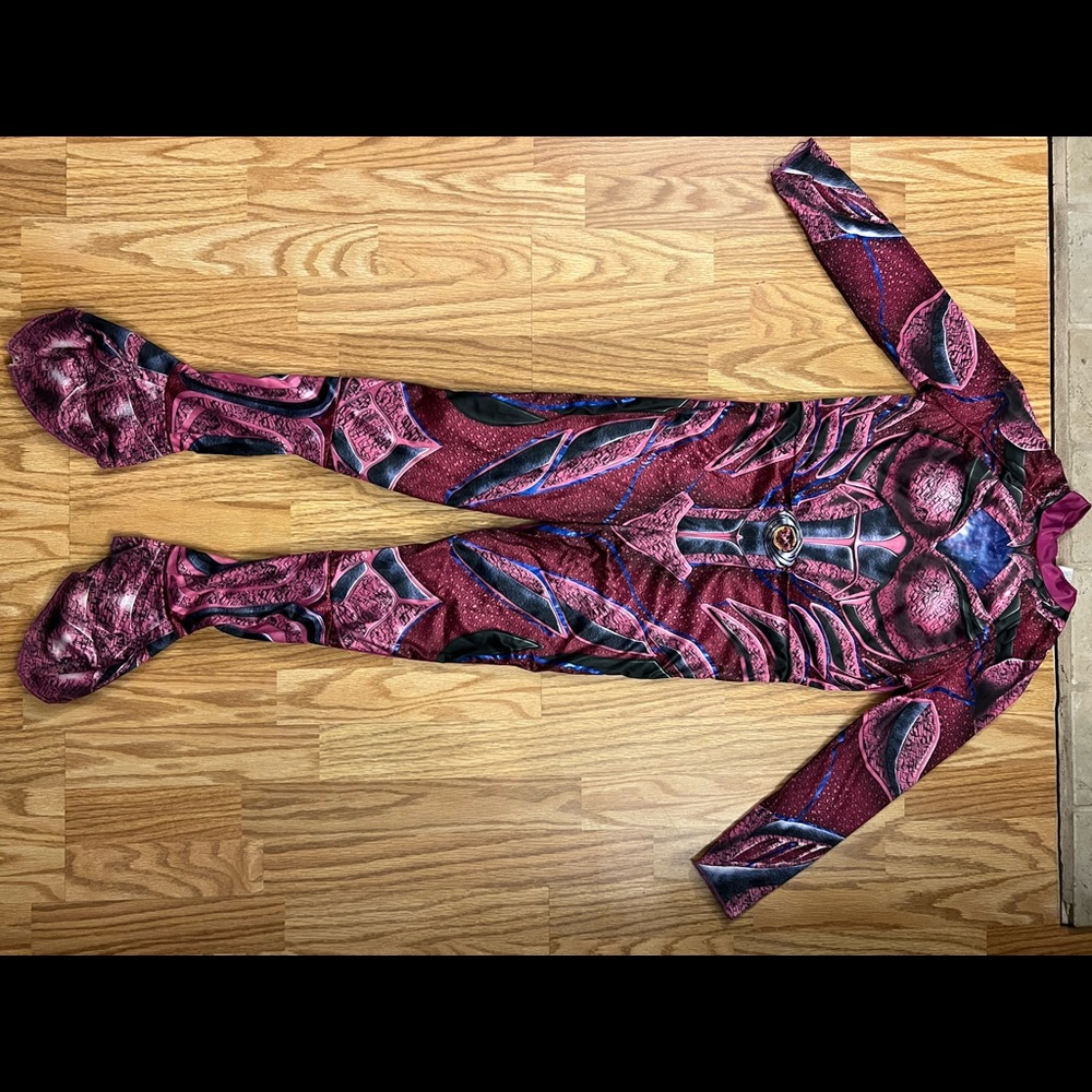 Pink Power Ranger Costume - Picture 5 of 6